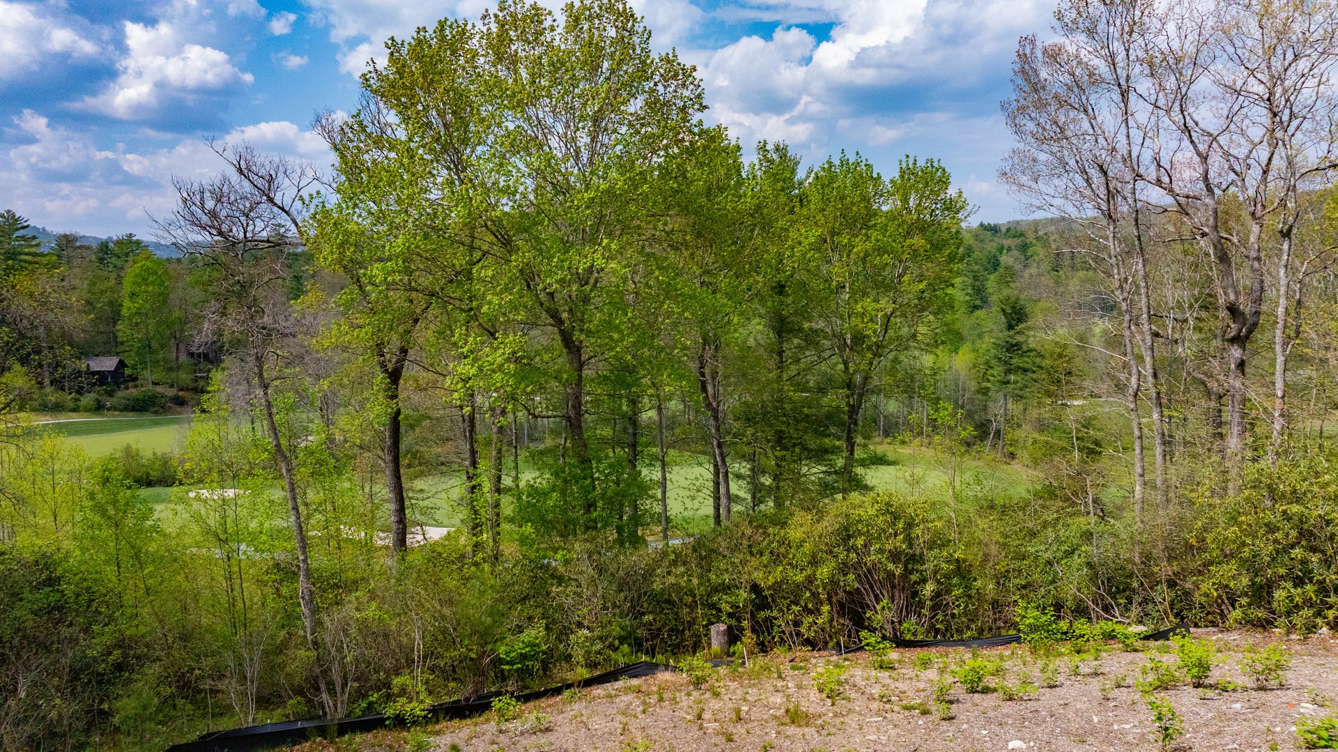 376 Heaton Forest