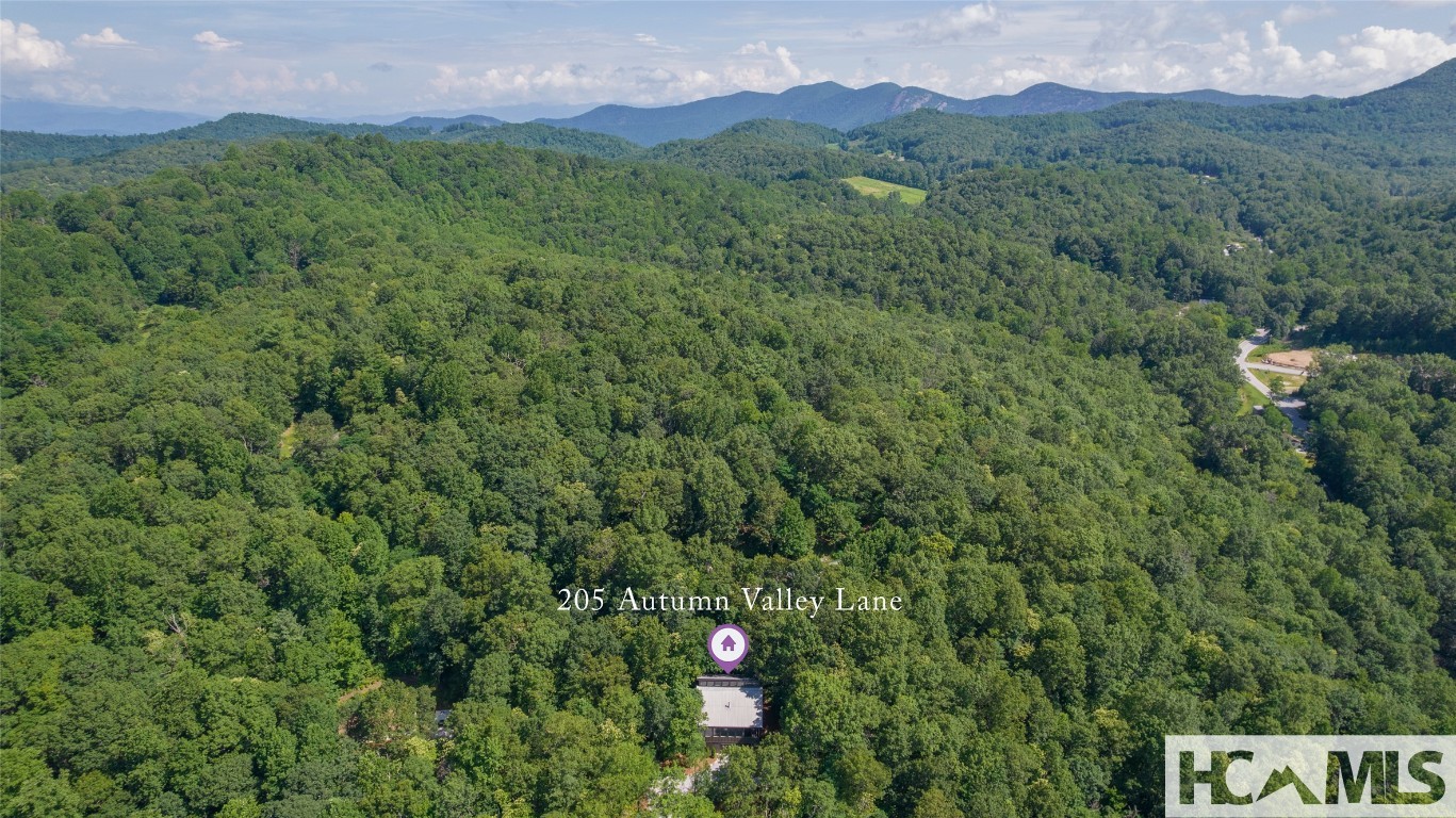 Scaly Mountain, North Carolina 28775, United States, 2 Bedrooms Bedrooms, ,2 BathroomsBathrooms,Residential,Active,250381