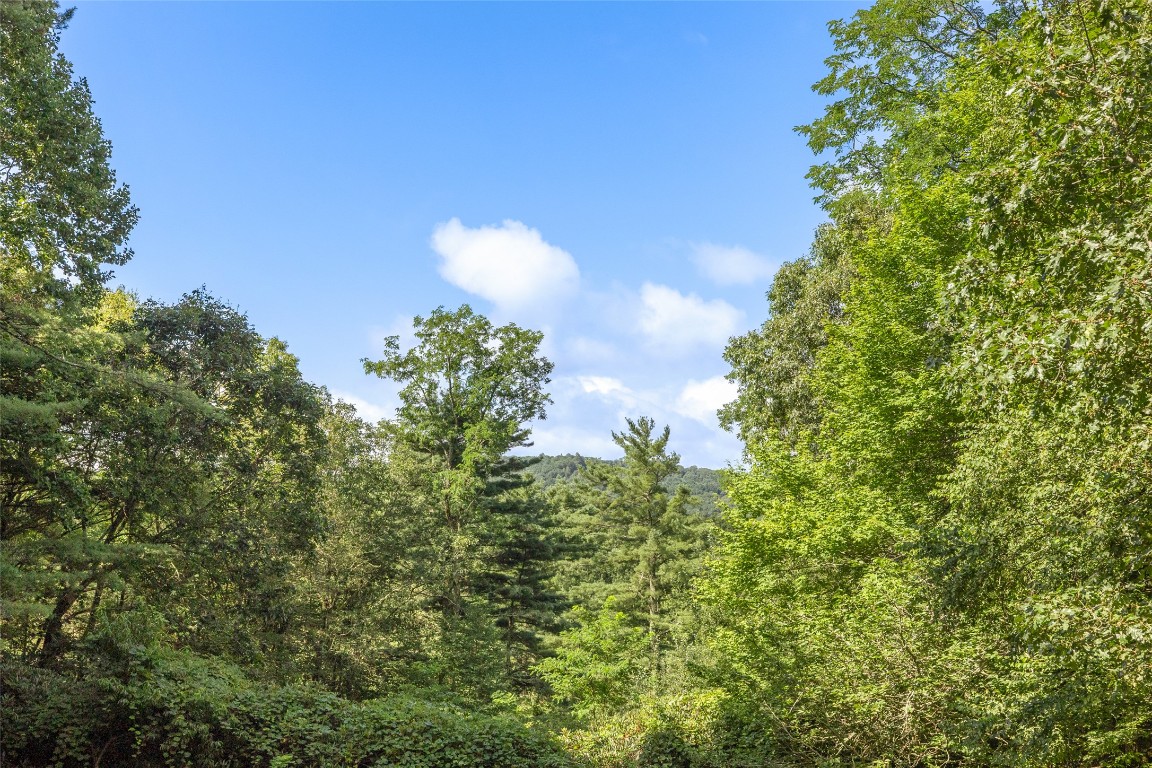 Highlands, North Carolina 28741, United States, 4 Bedrooms Bedrooms, ,3 BathroomsBathrooms,Residential,Active,216666