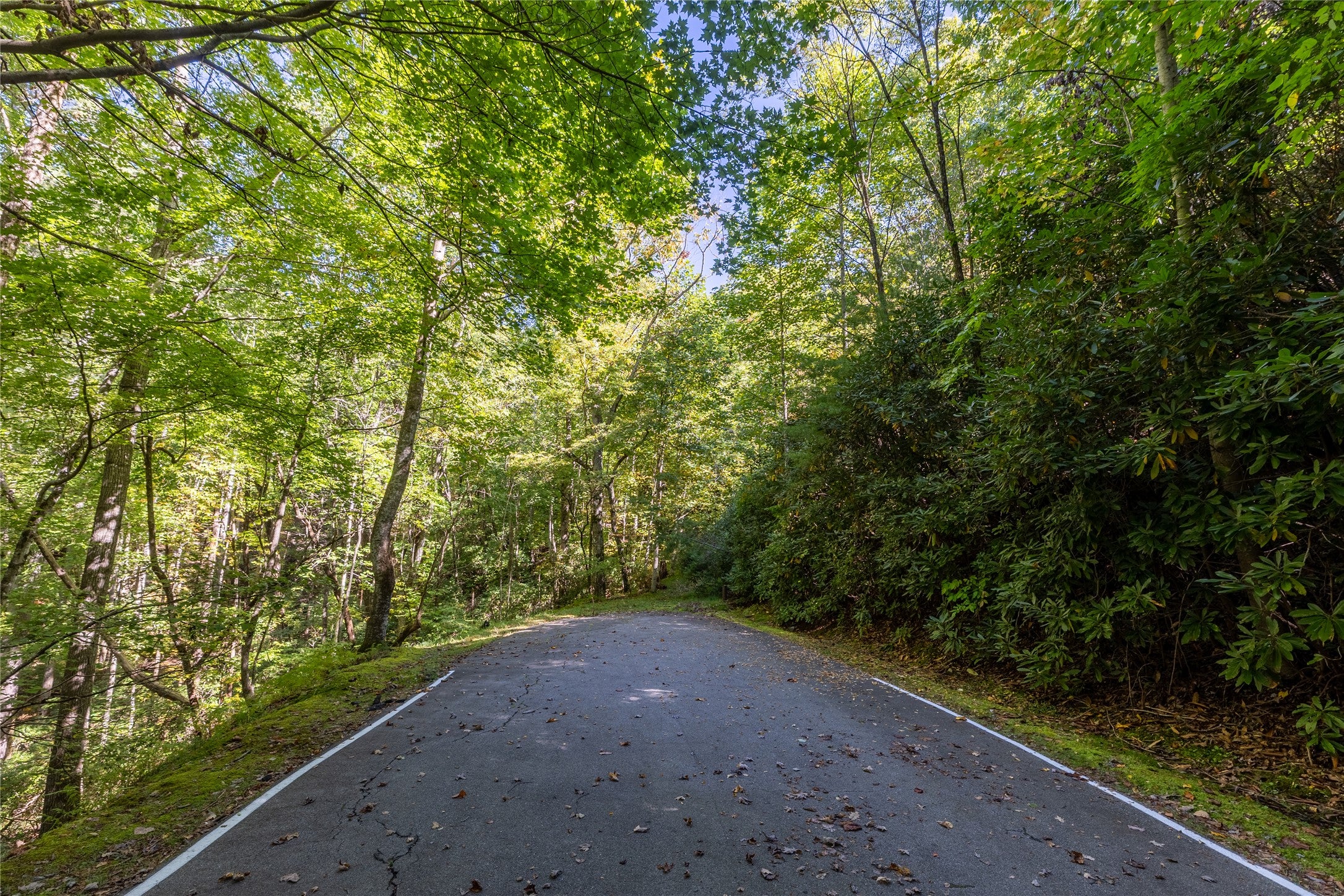 Lot 3A Mountain View Road