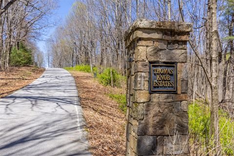 Lot 35 Thomas Knob Trail Scaly Mountain NC 28775