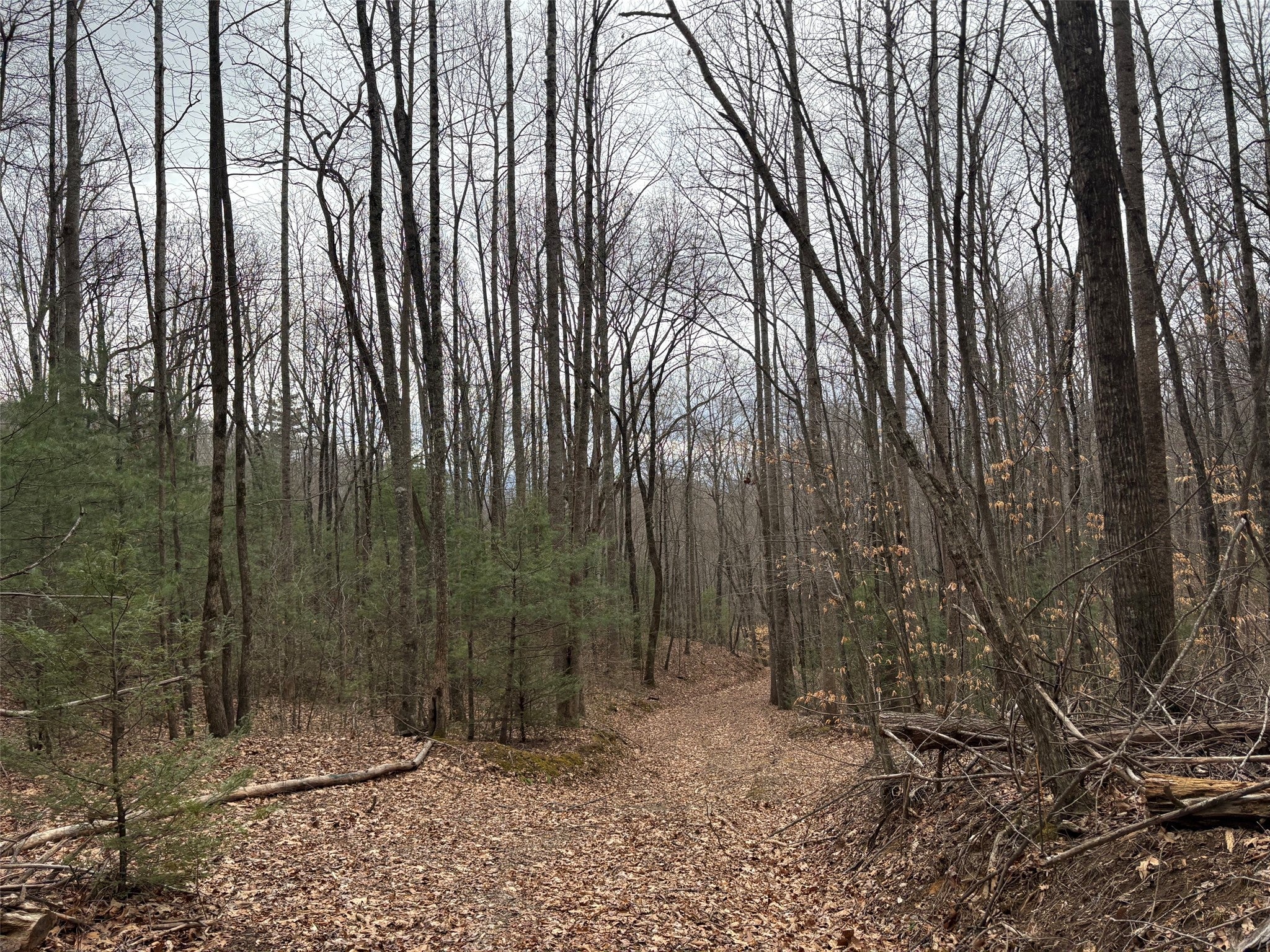 0 Pond View Ridge