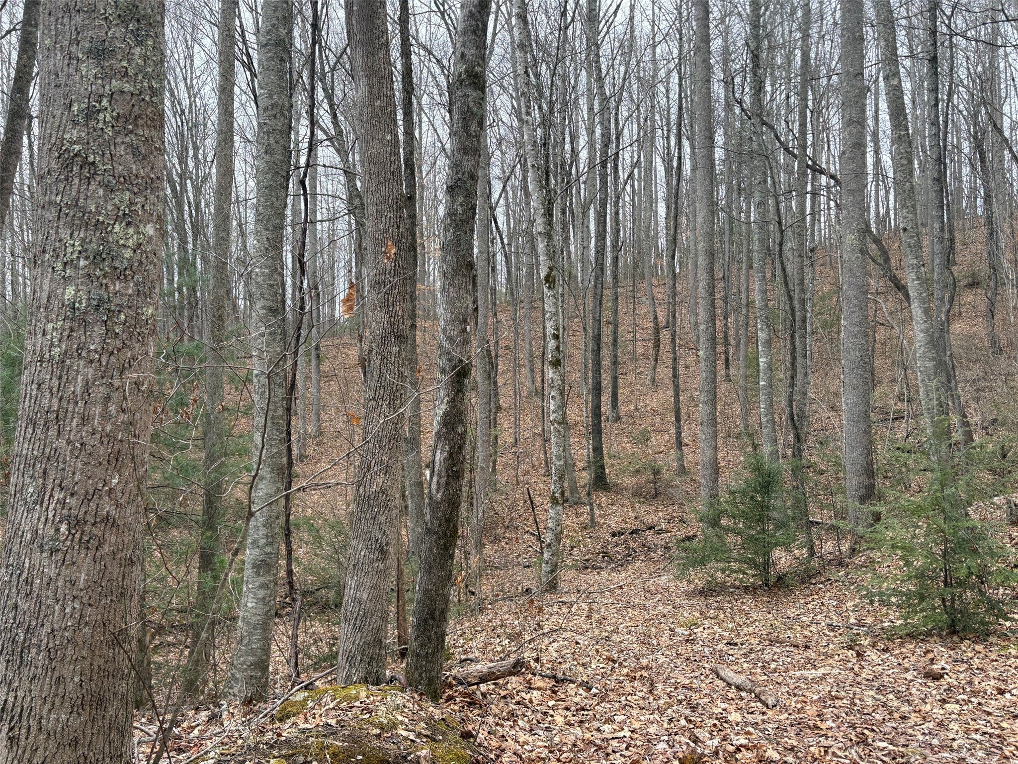 0 Pond View Ridge
