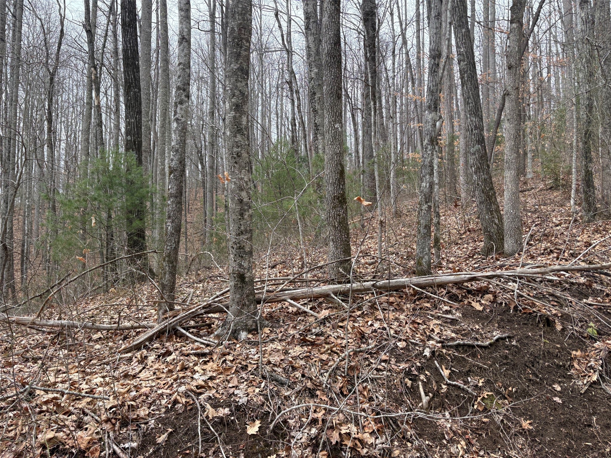 0 Pond View Ridge