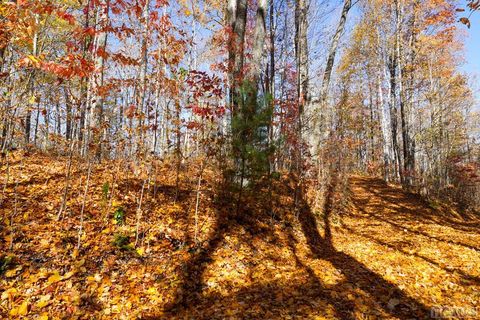 na High Point View Road Scaly Mountain NC 28775