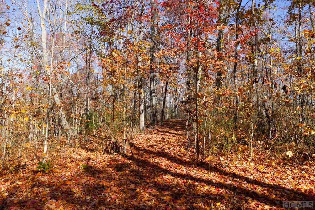 na High Point View Road