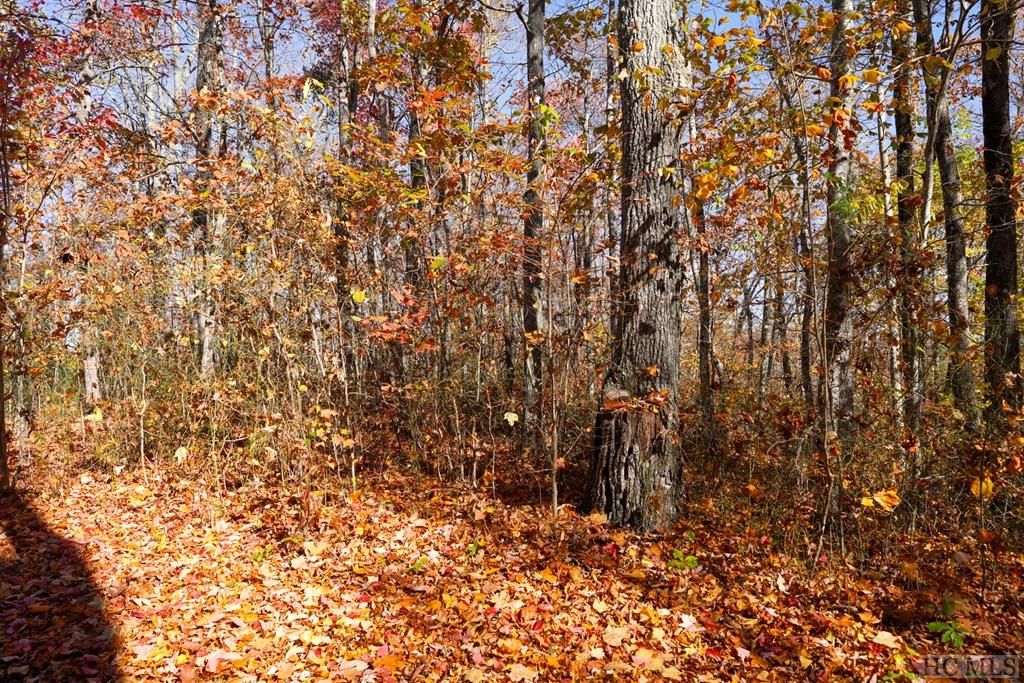 na High Point View Road