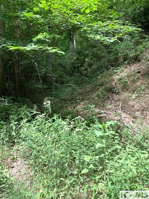 0 Little Ellijay Road