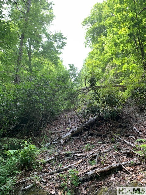0 Little Ellijay Road