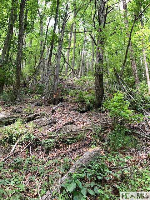 0 Little Ellijay Road