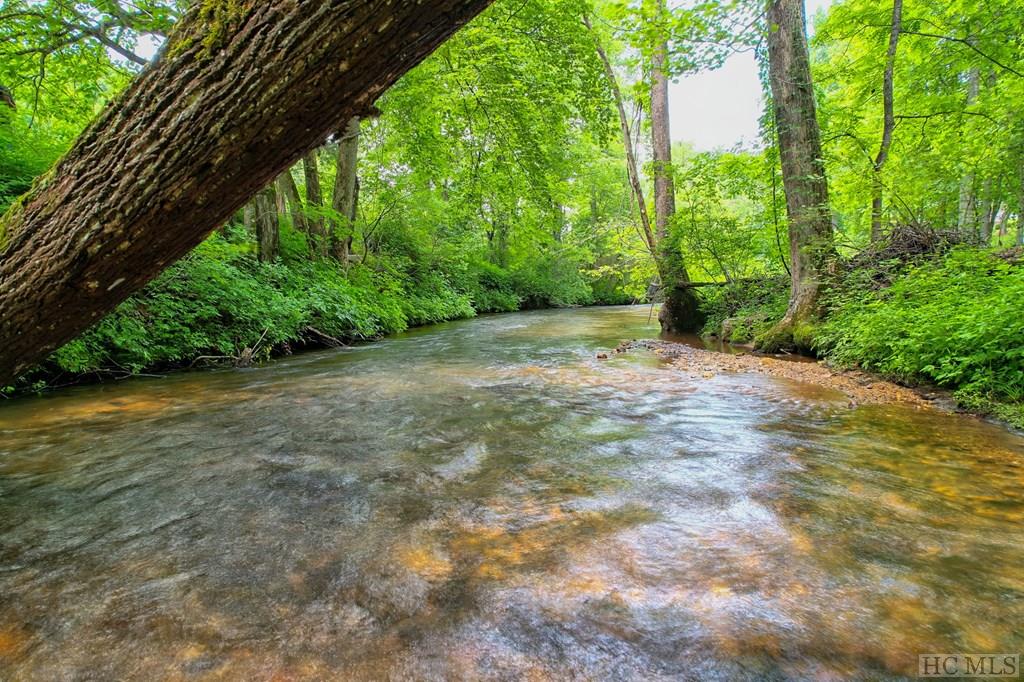 Otto, North Carolina 28763, United States, 2 Bedrooms Bedrooms, ,2 BathroomsBathrooms,Residential,Pending,129611