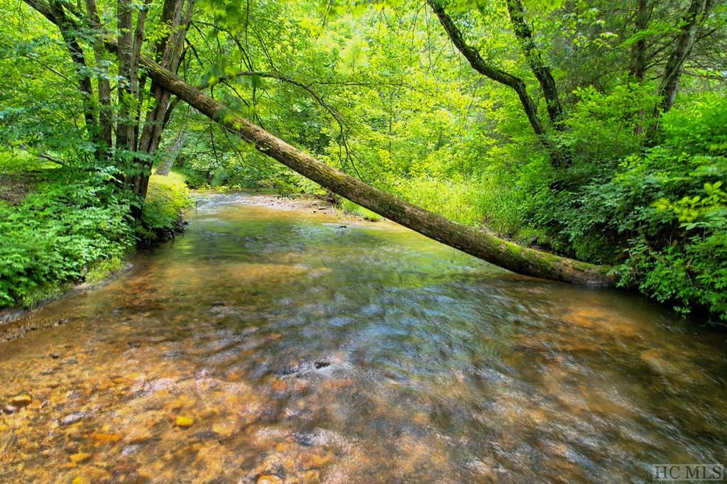 Otto, North Carolina 28763, United States, 2 Bedrooms Bedrooms, ,2 BathroomsBathrooms,Residential,Pending,129611