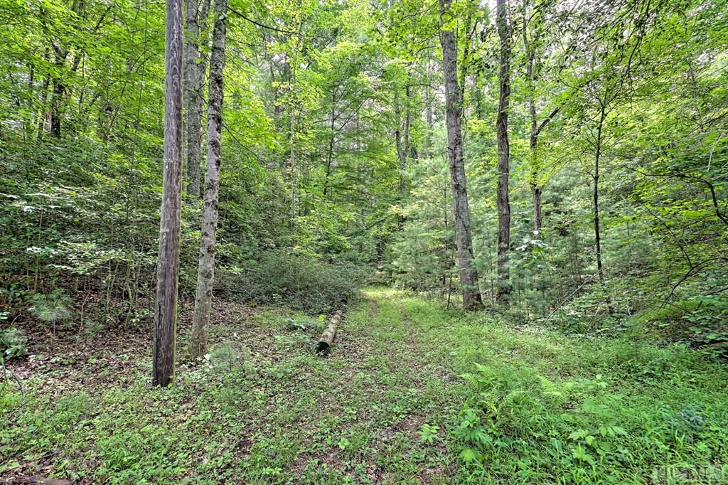 Otto, North Carolina 28763, United States, 2 Bedrooms Bedrooms, ,2 BathroomsBathrooms,Residential,Pending,129611