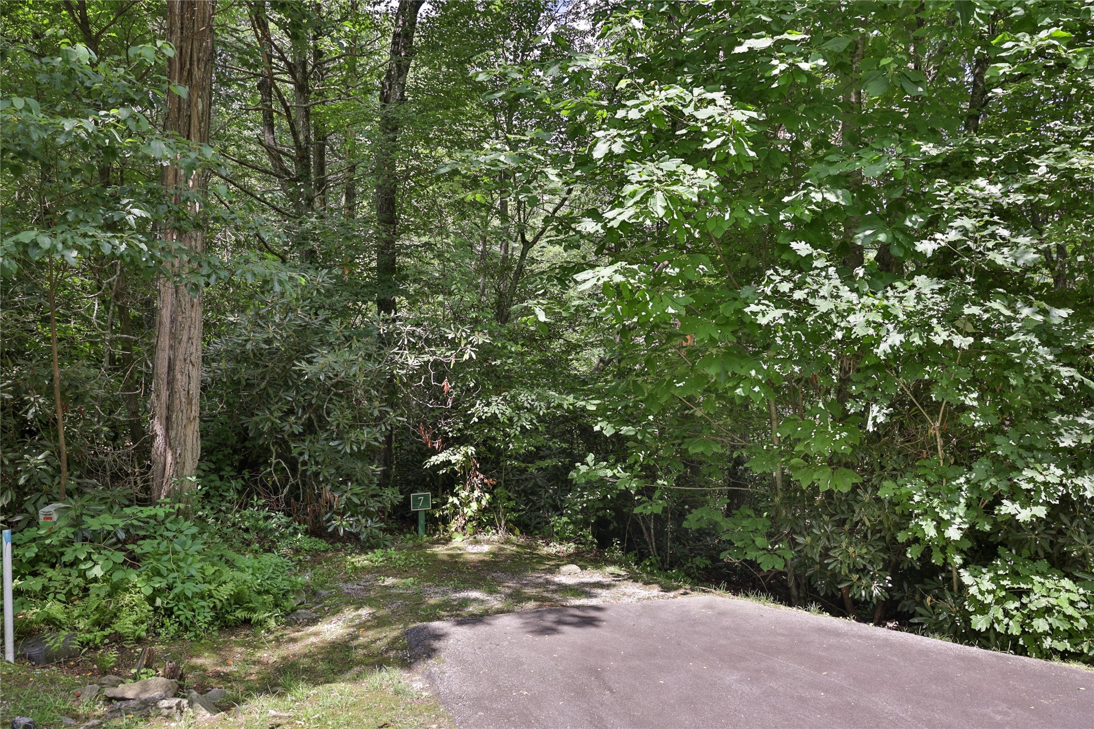 364 Cross Creek Trail