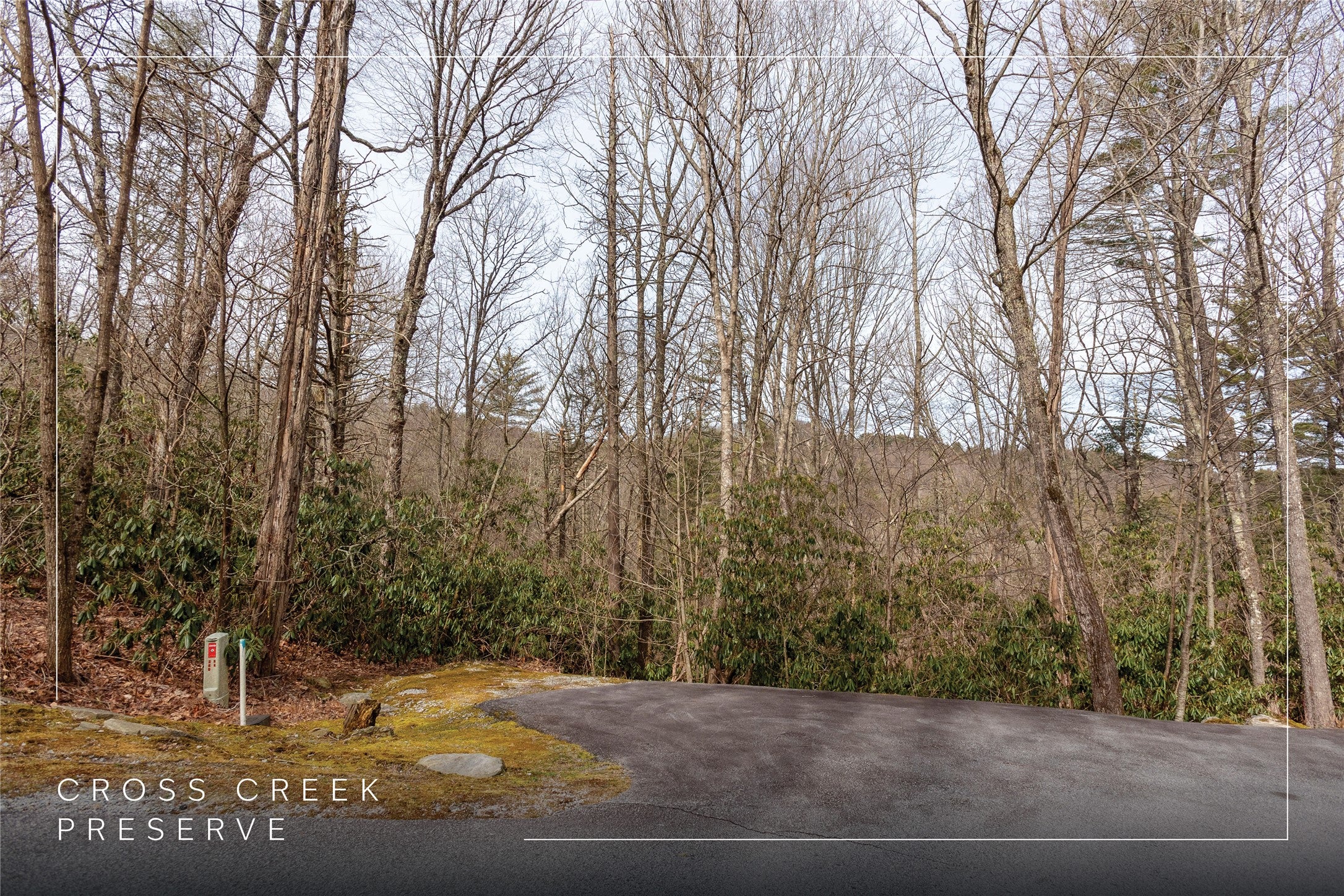 364 Cross Creek Trail