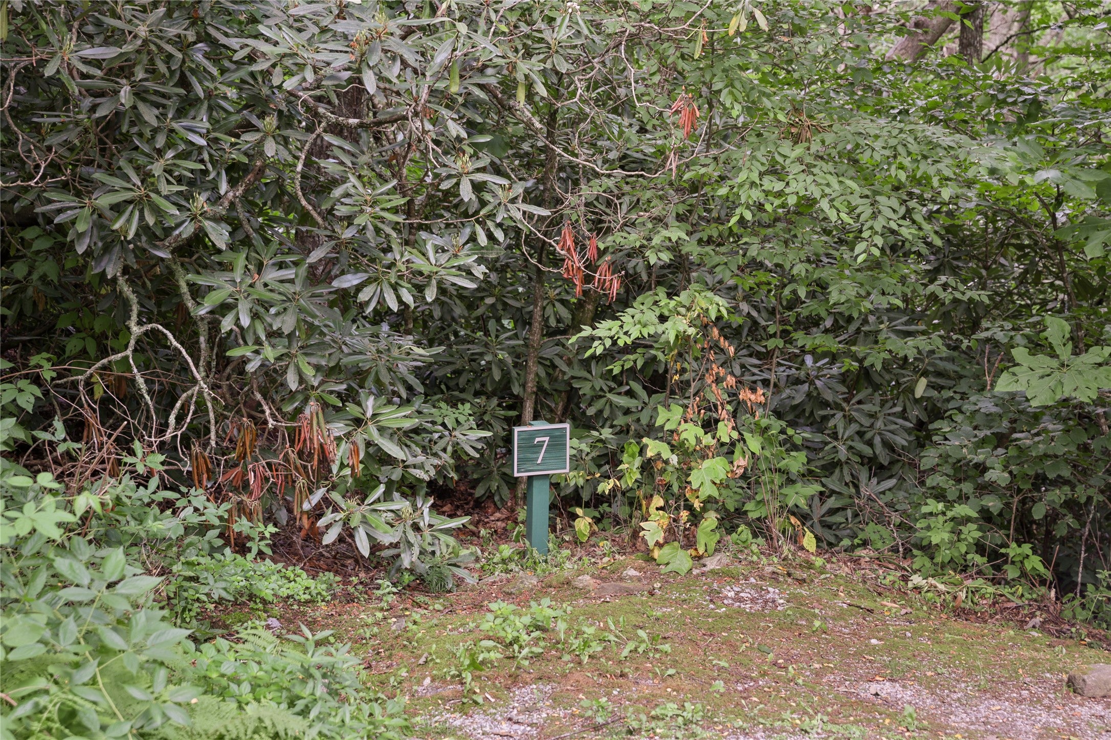 364 Cross Creek Trail