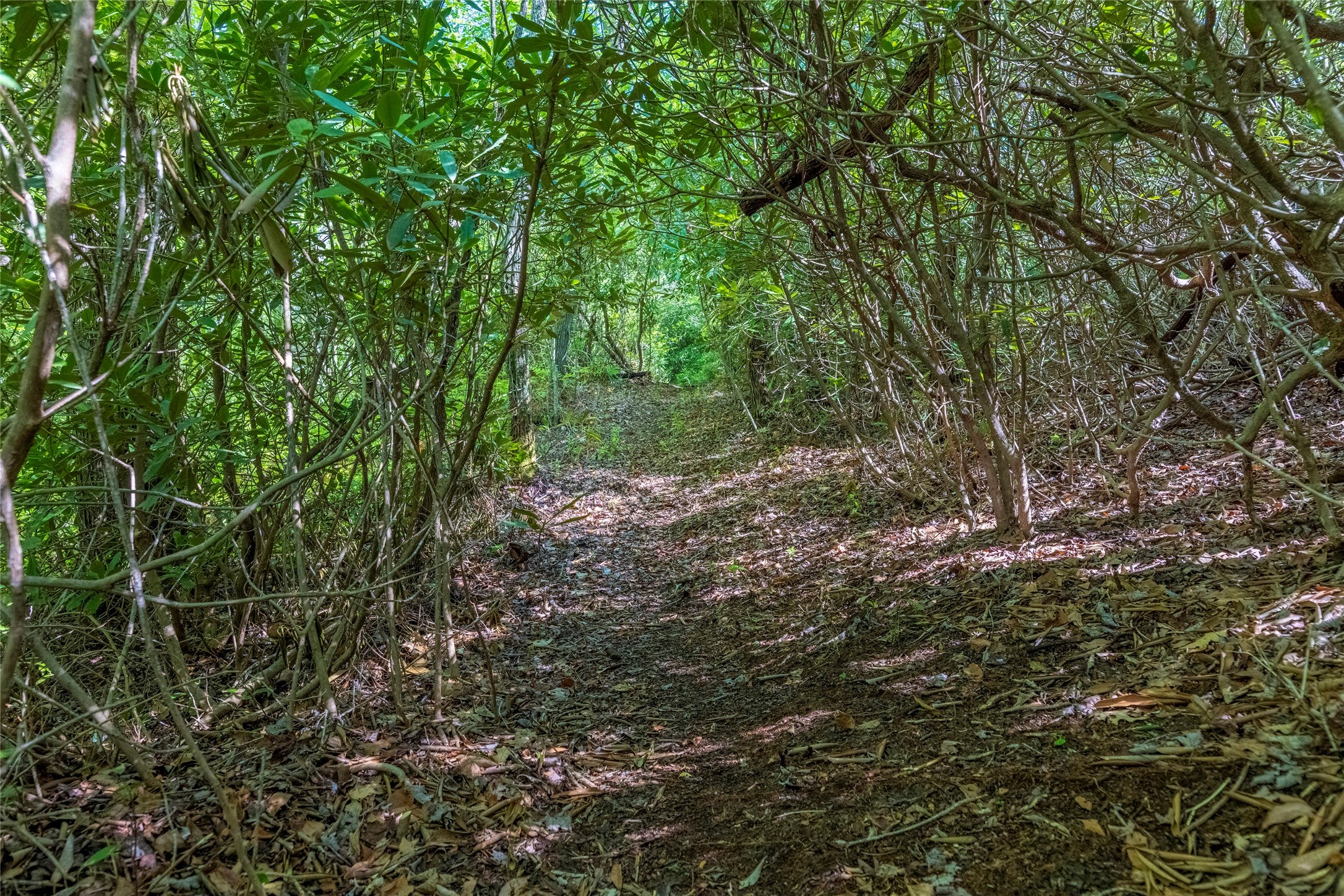 TBD Long Ridge Rd. (River Camp)