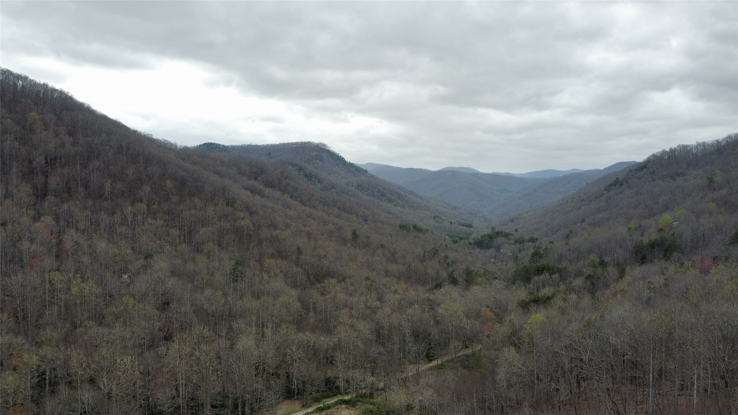 1005 Trout Creek Road