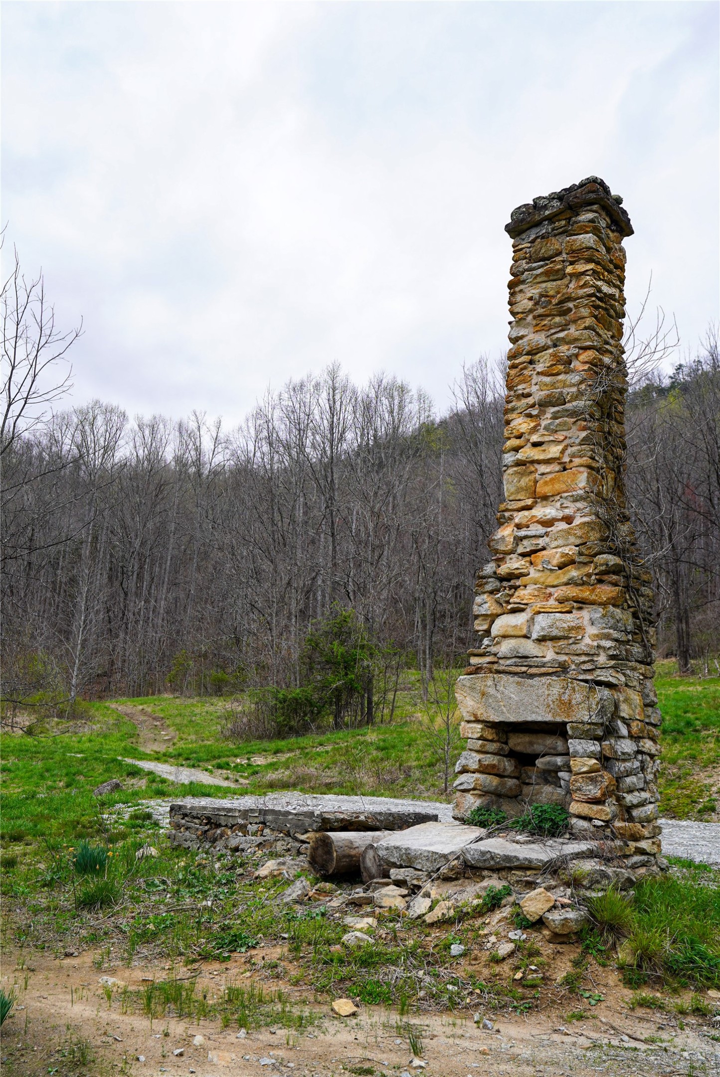 1005 Trout Creek Road