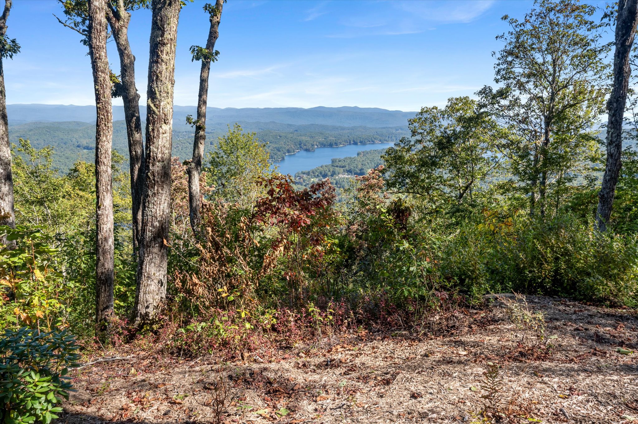 1544 Panthertown Road