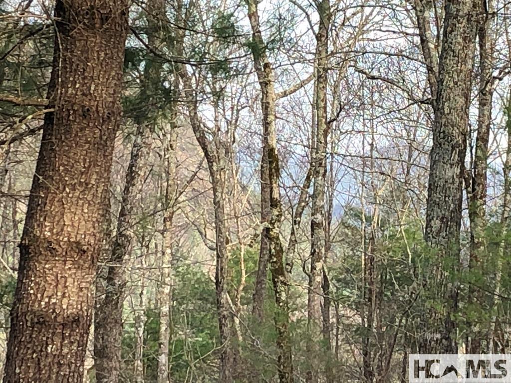 Highlands, North Carolina 28741, United States, ,Land,Active,129562