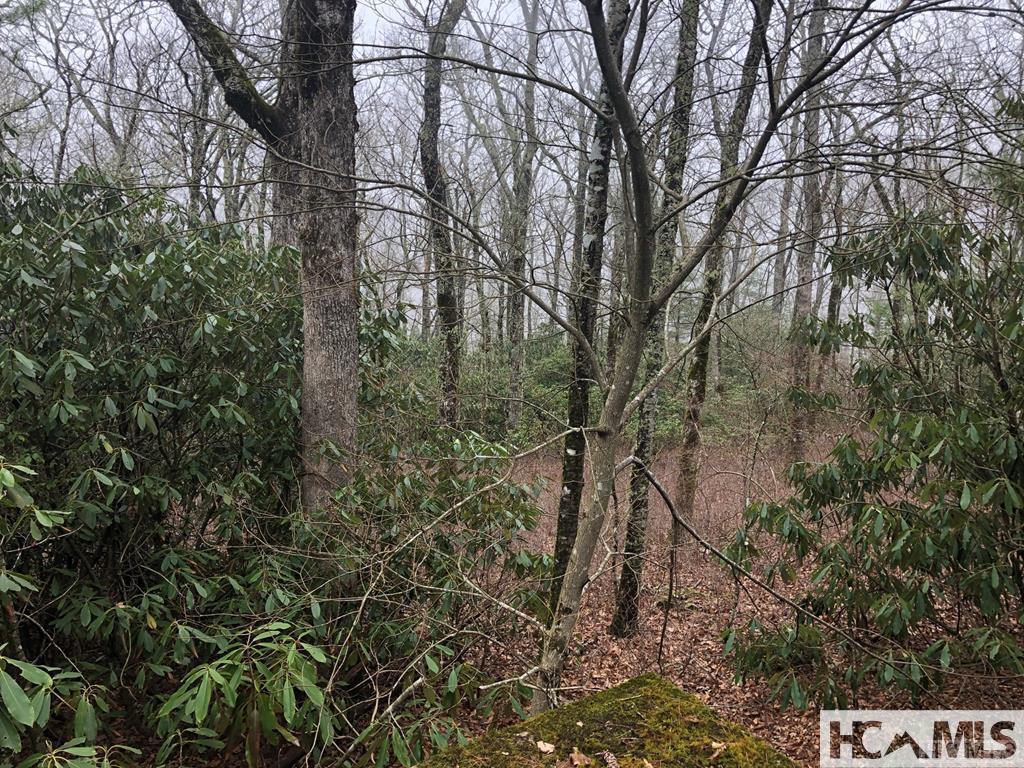 Highlands, North Carolina 28741, United States, ,Land,Active,129562