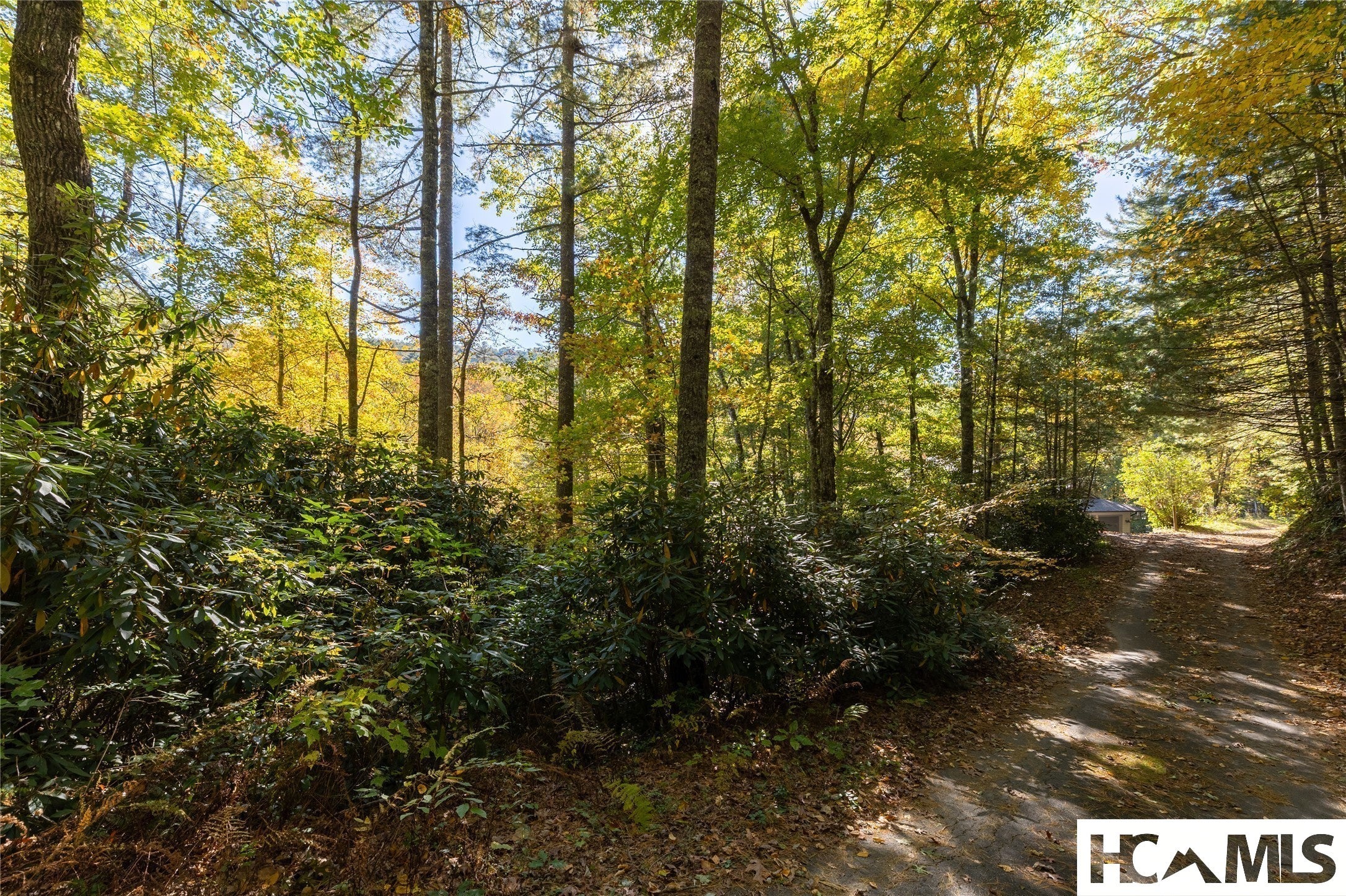 Lot 22 Twin Kettle Falls