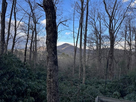 Photo for TBD Bryson Branch Road