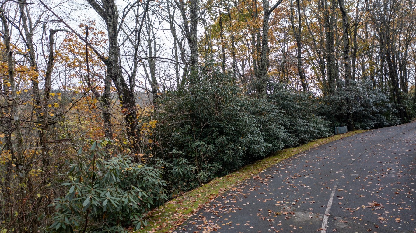 Highlands, North Carolina 28741, United States, ,Land,Active,236183