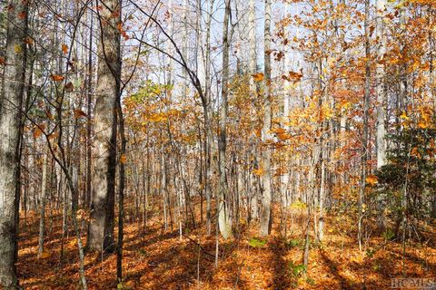 na Silly Ridge Road Scaly Mountain NC 28775
