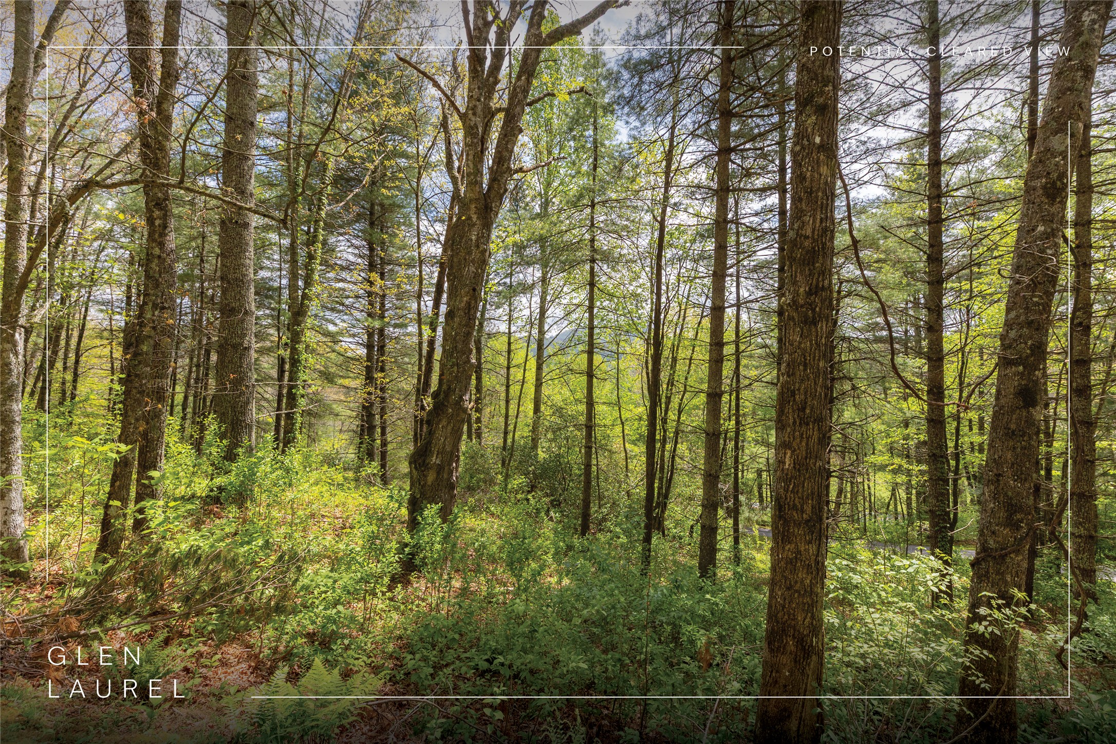 Lot 17 Glen Laurel Circle