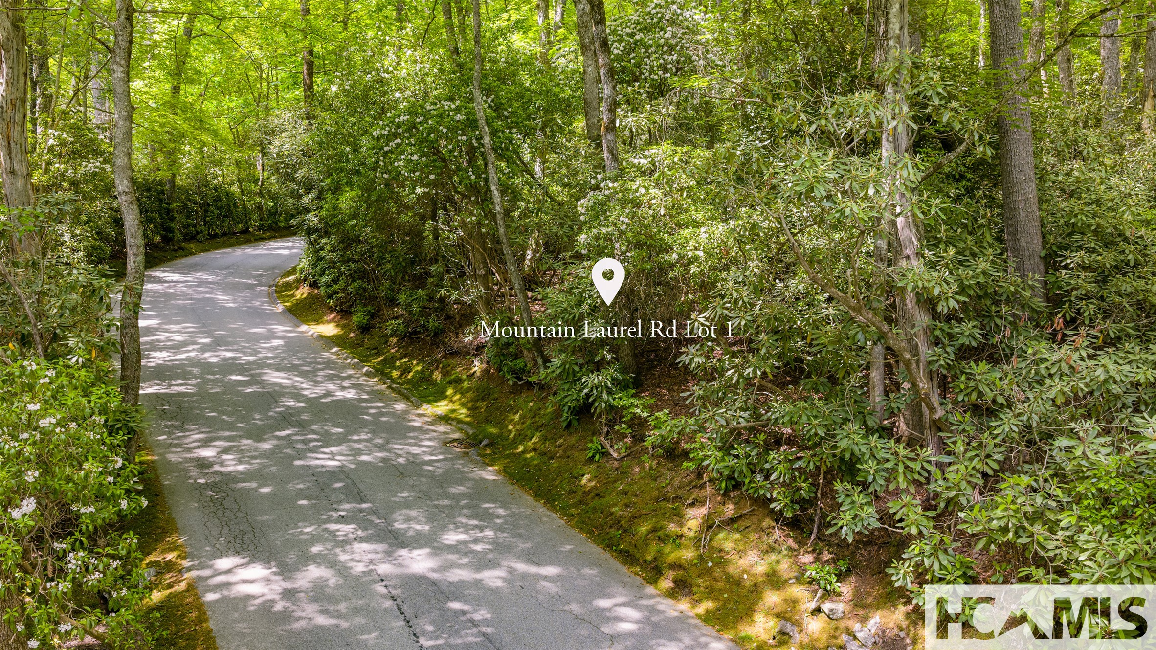 Lot 1 Mountain Laurel Drive