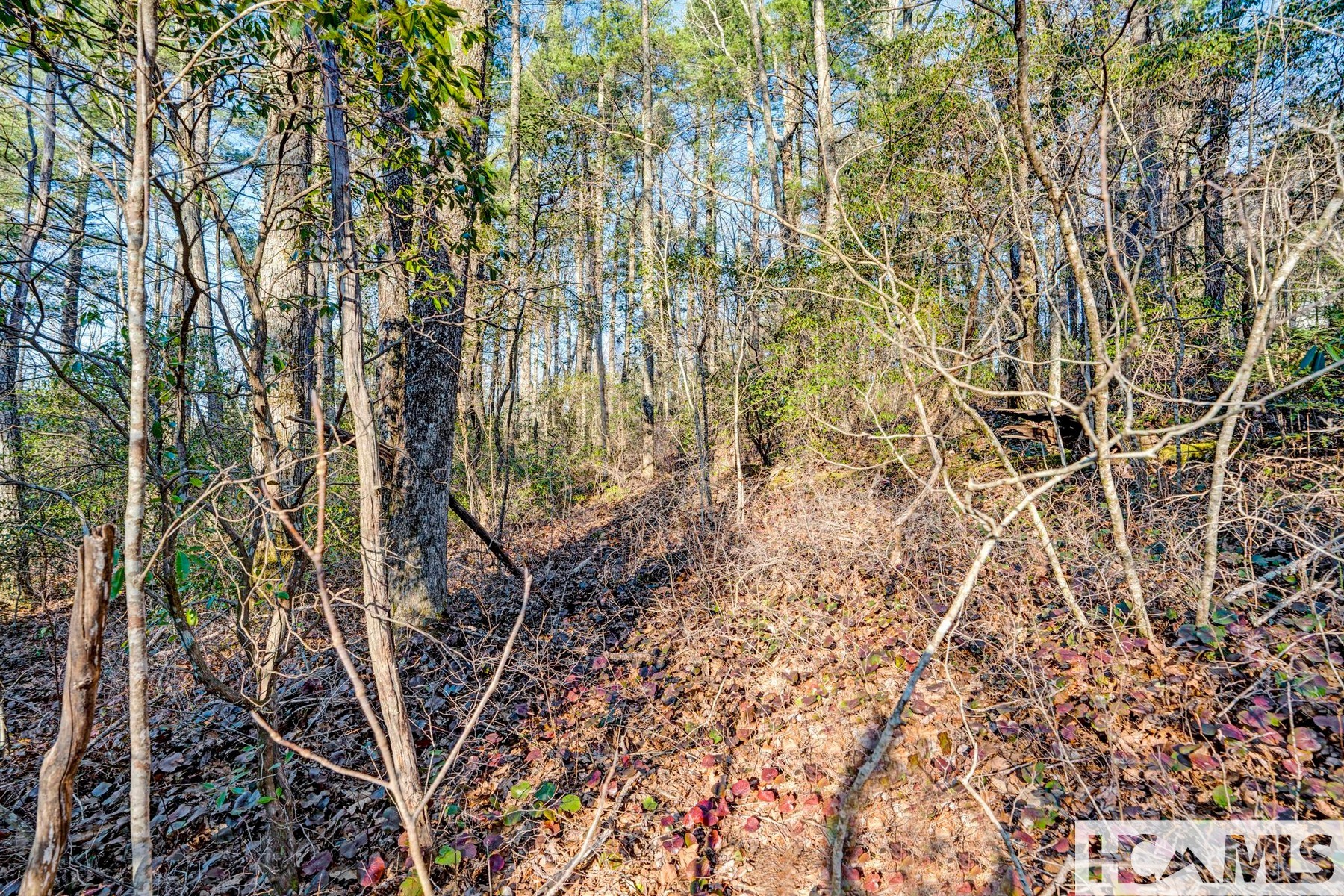 Lot 21 Hardscrabble Ridge