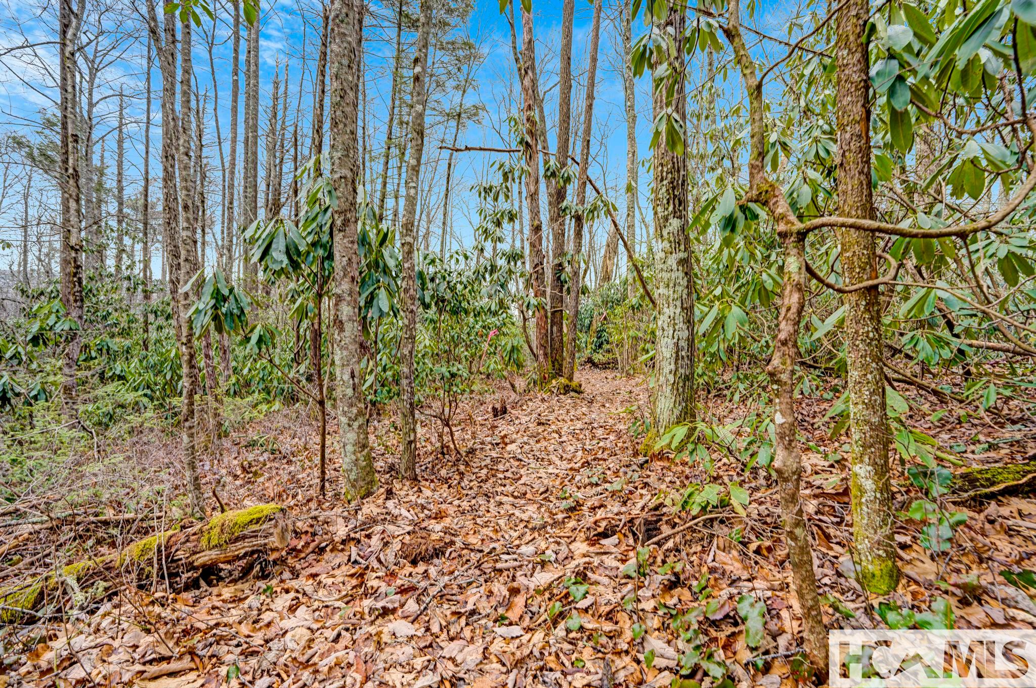 Lot 21 Hardscrabble Ridge