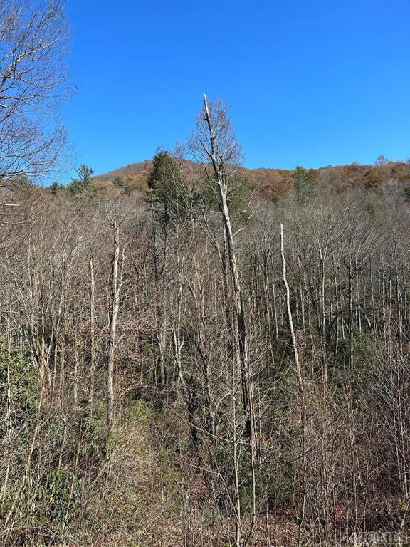 Sapphire, North Carolina 28774, United States, ,Land,Pending,34736