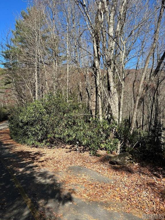 Sapphire, North Carolina 28774, United States, ,Land,Pending,34736