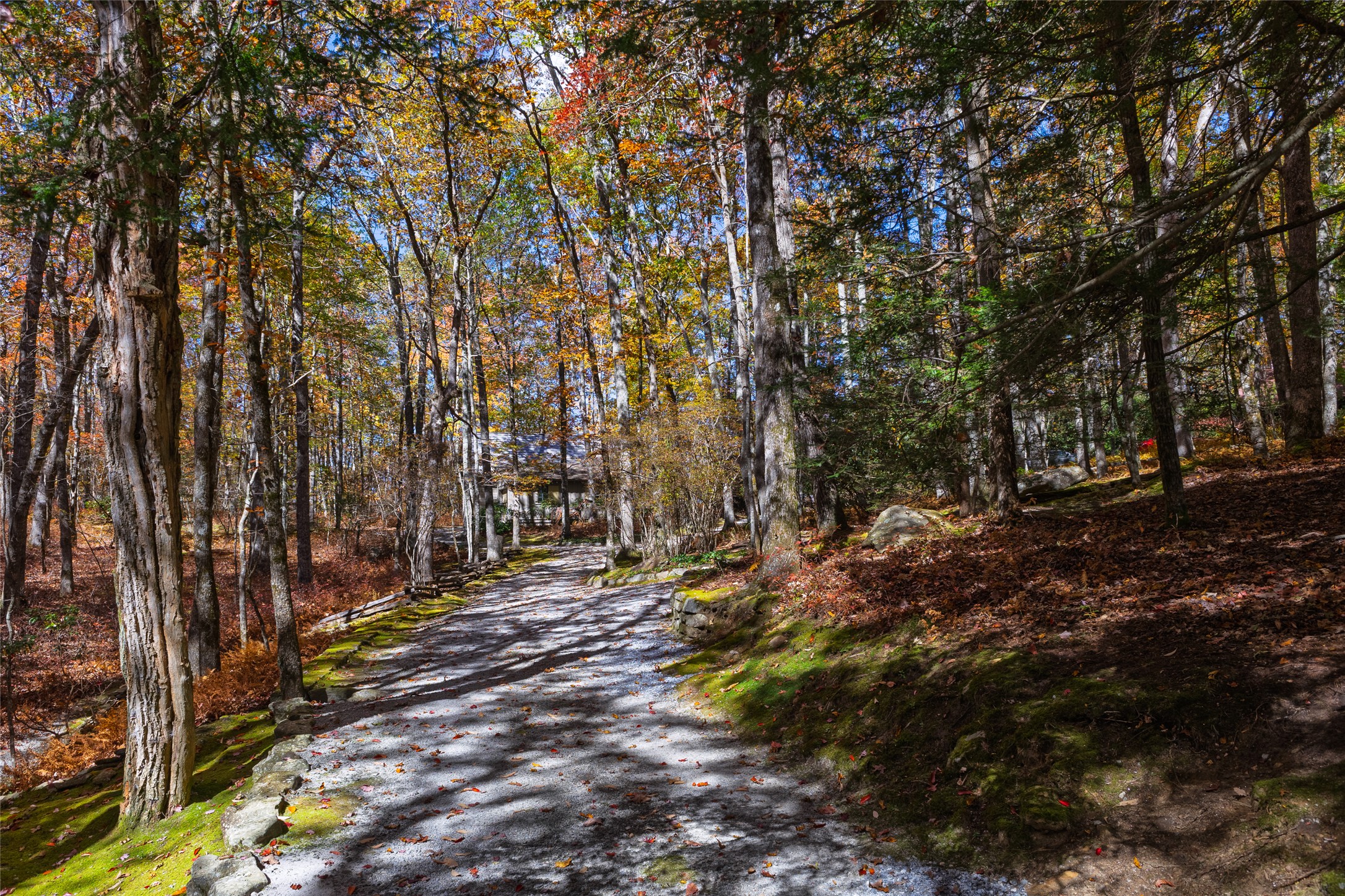 176 Panthertown Trail