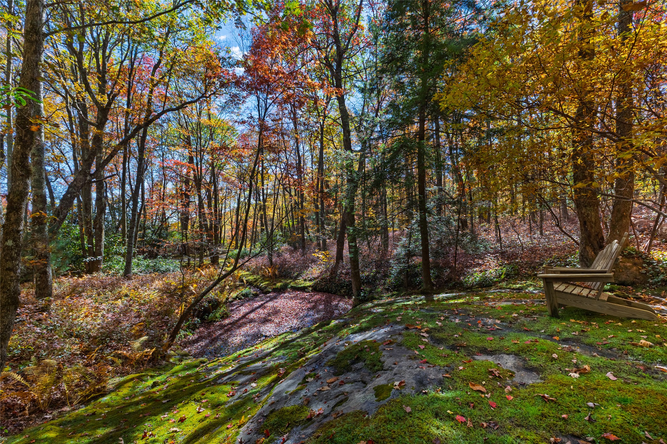 176 Panthertown Trail