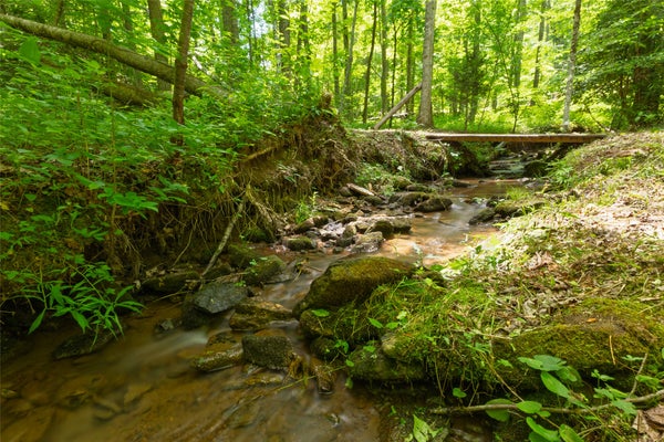 2530 PILOT KNOB RD, GLENVILLE, NC 28736 - Image a9c4231e0edb6057a0c53fdee8a762ef/325908939
