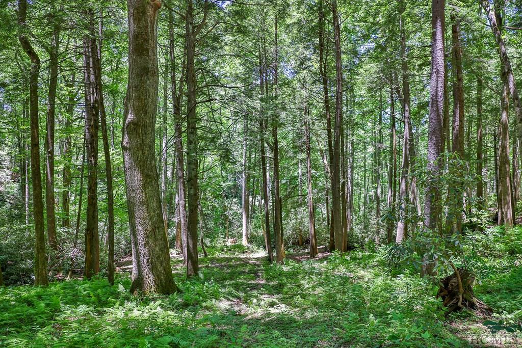 Highlands, North Carolina 28741, United States, ,Land,Active,160828