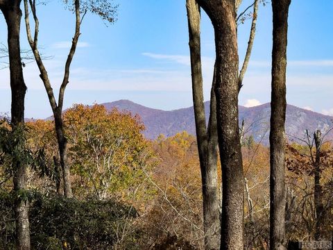 TBD Silly Ridge Road Scaly Mountain NC 28775