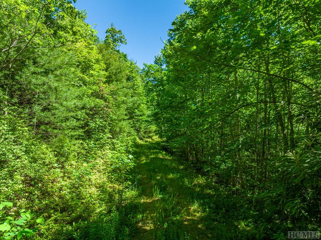 Highlands, North Carolina 28741, United States, ,Land,Active,155829