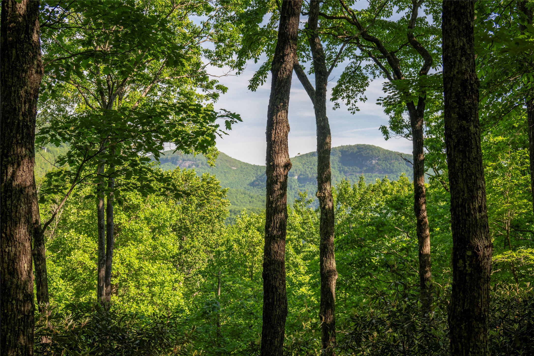 TMI 33 Toxaway Drive