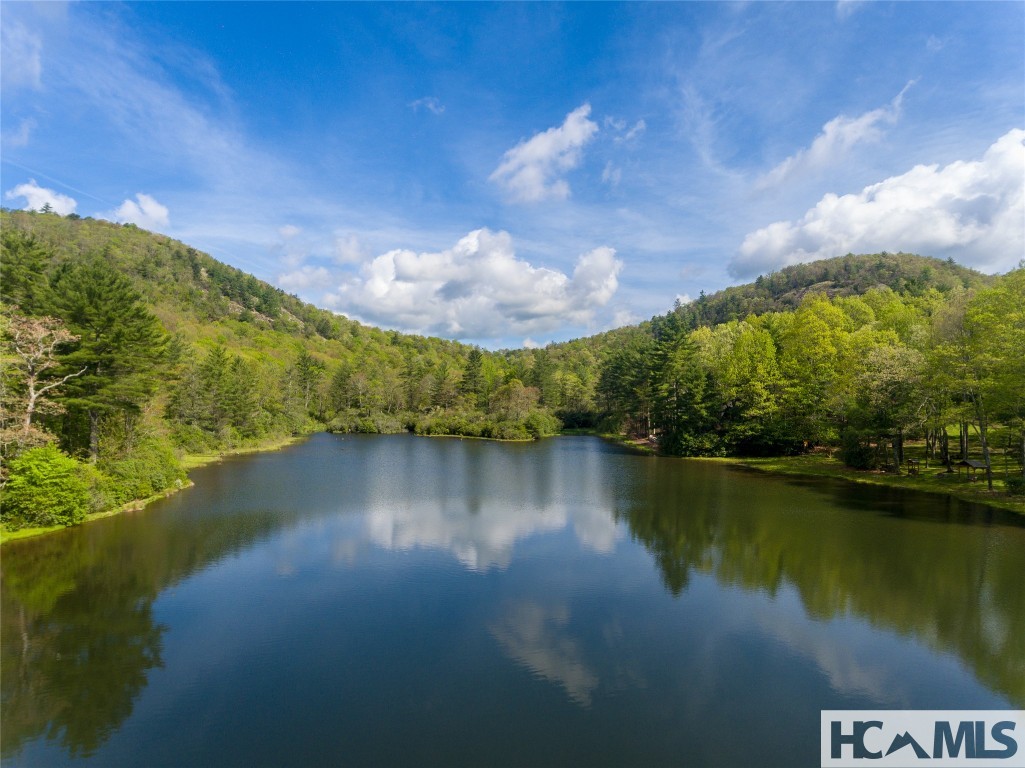 Glenville, North Carolina 28736, United States, 5 Bedrooms Bedrooms, ,6 BathroomsBathrooms,Residential,Active,201348