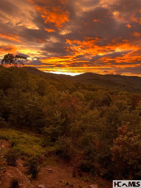 Glenville, North Carolina 28736, United States, 5 Bedrooms Bedrooms, ,6 BathroomsBathrooms,Residential,Active,201348