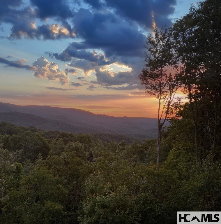 Glenville, North Carolina 28736, United States, 5 Bedrooms Bedrooms, ,6 BathroomsBathrooms,Residential,Active,201348