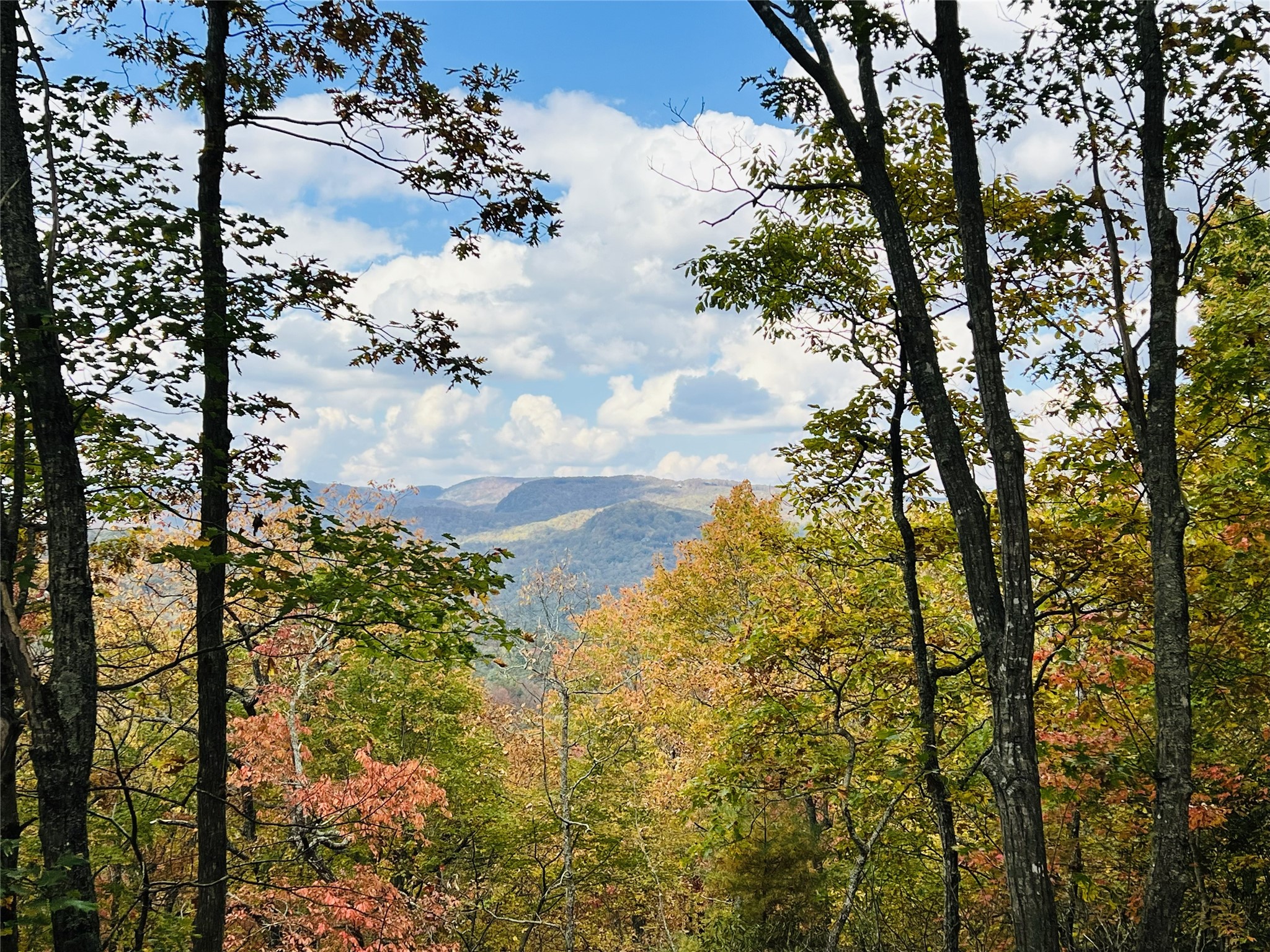 401 Windy Gap Lane