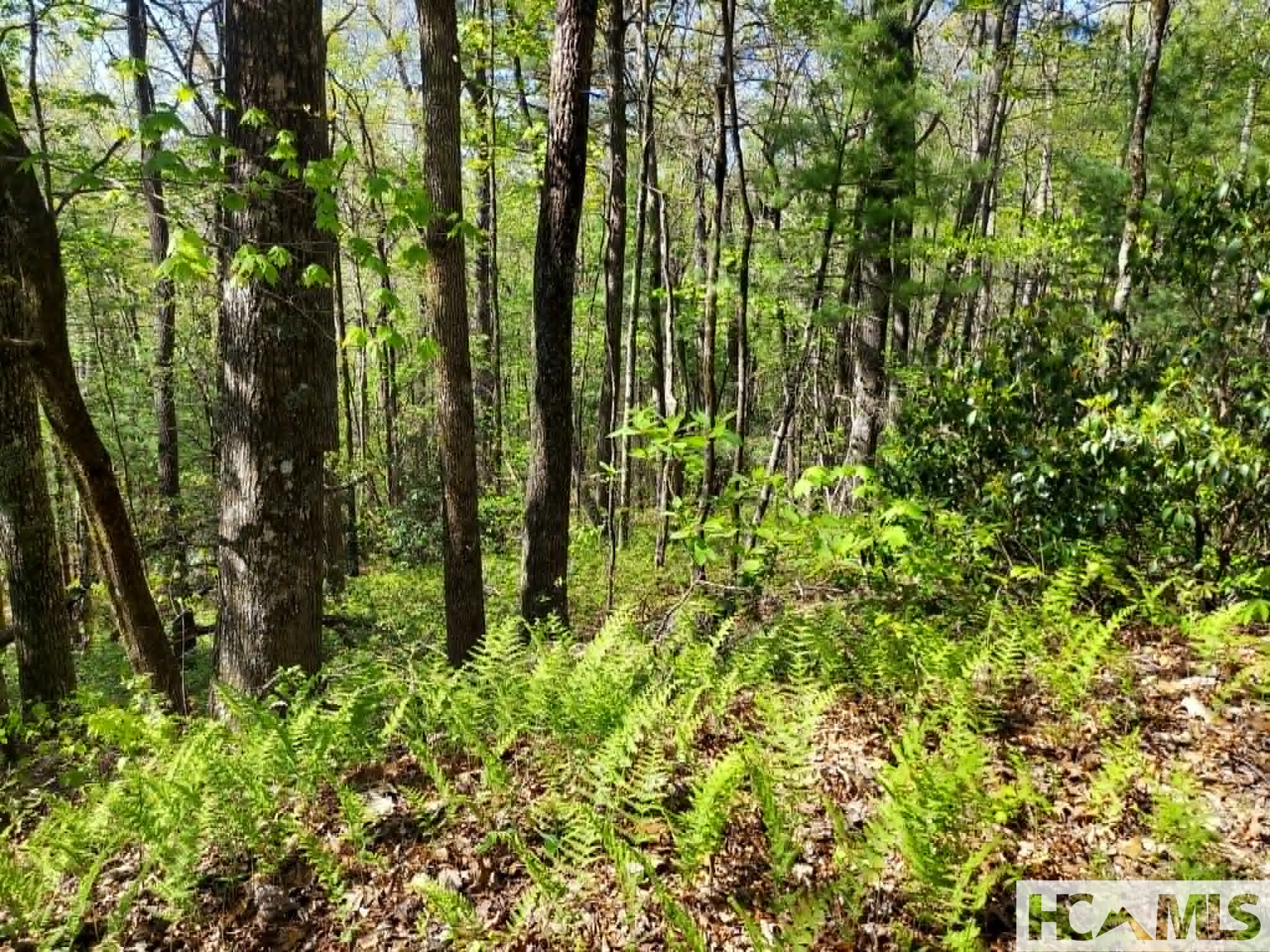 0 Pipetrack Gap Road