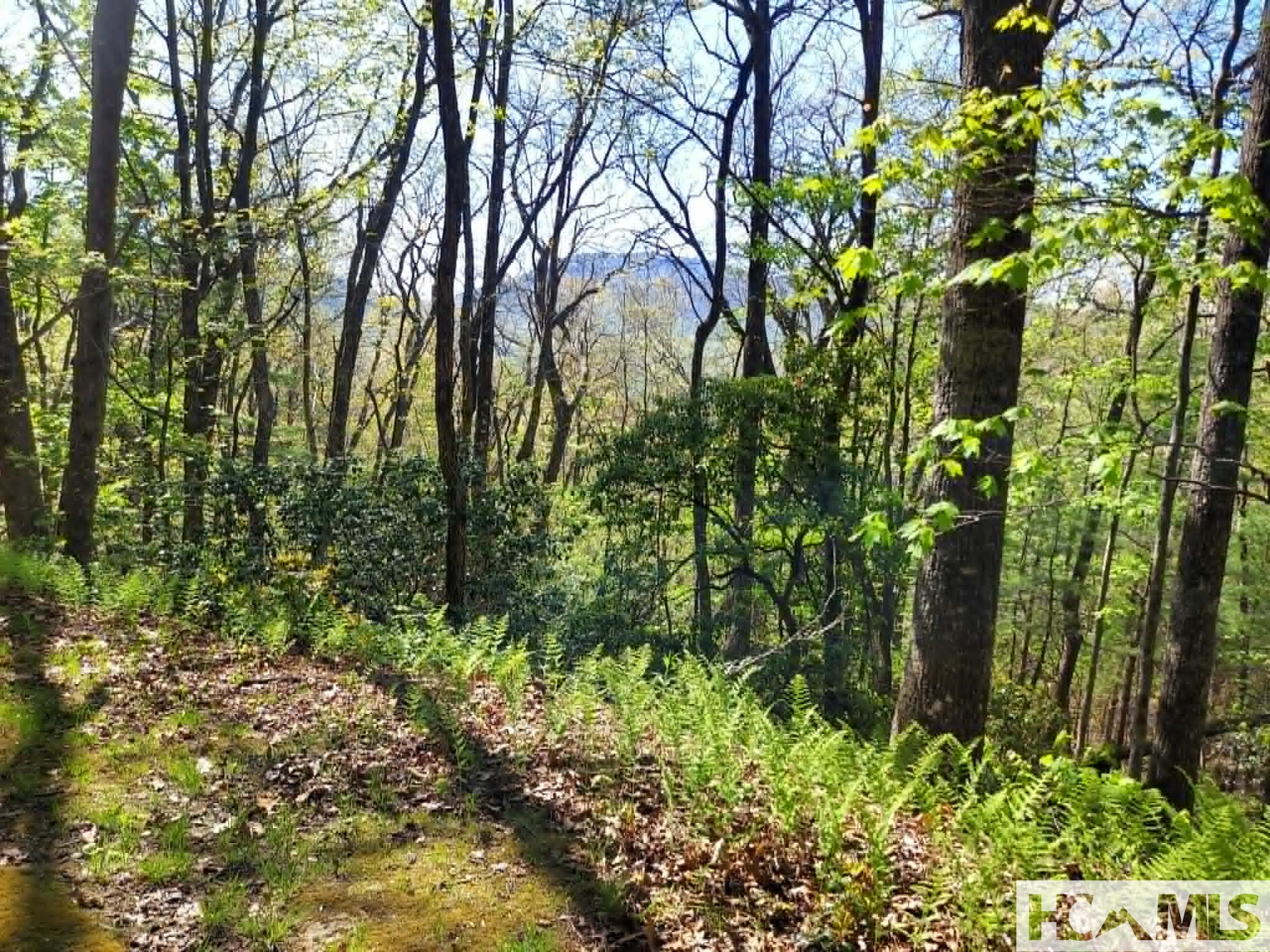 0 Pipetrack Gap Road