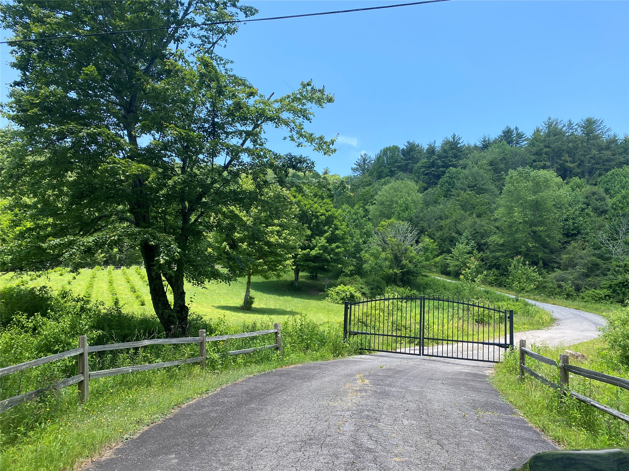 41 Wolf Knob Road